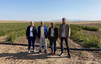 SÜPER MEYVE ARONYA TEPEBAŞI'NDA ÜRETİLİYOR